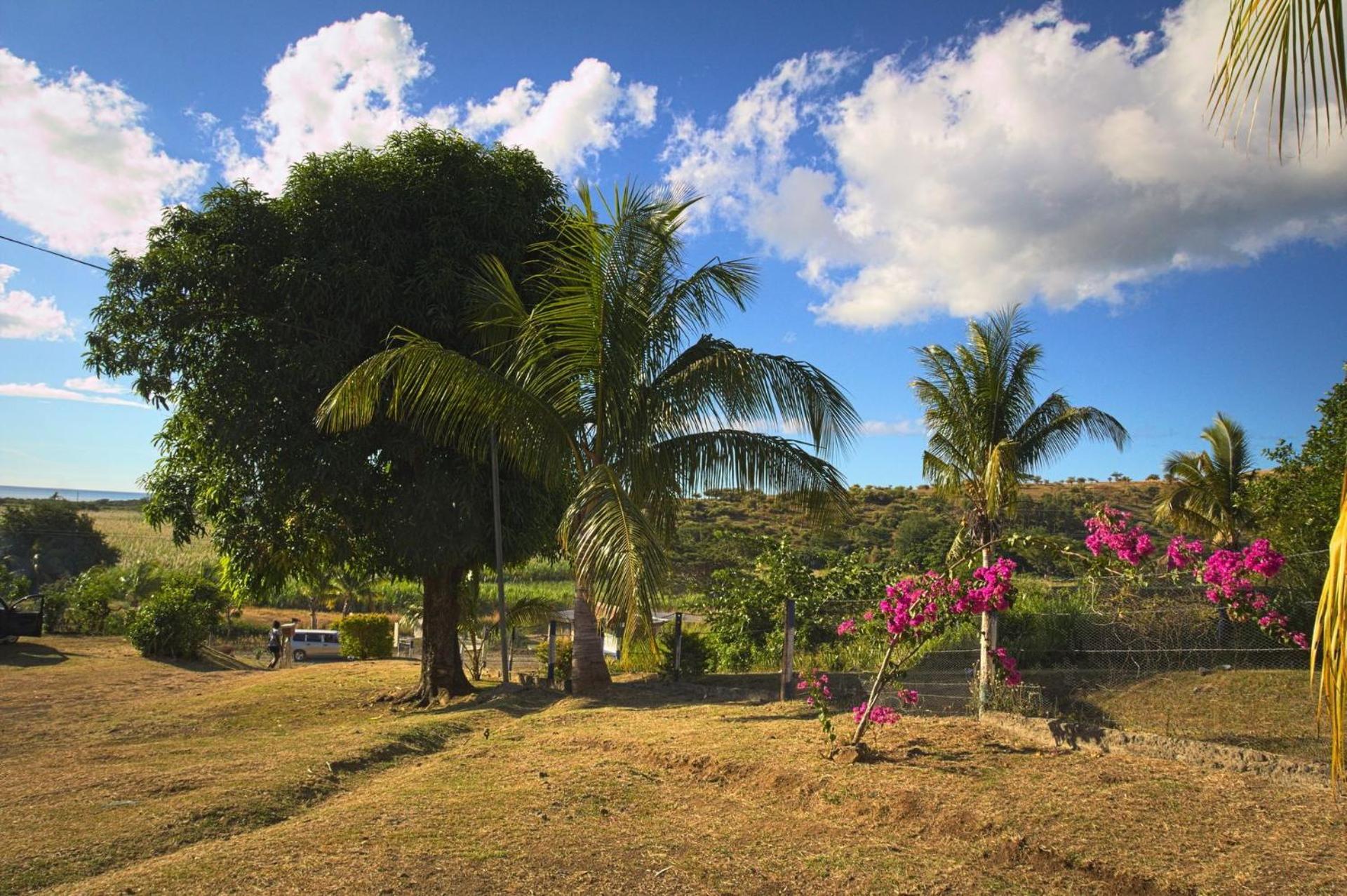 The Beehive Fiji Otel Rakiraki Dış mekan fotoğraf